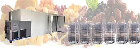 Kinkai Tech: Leading Food Drying & Dehydrator Manufacturer.